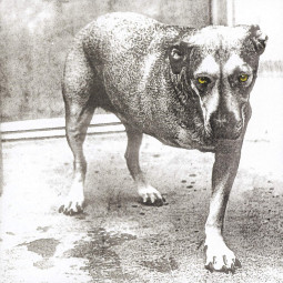 ALICE IN CHAINS - ALICE IN CHAINS - CD