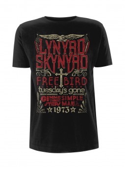 LYNYRD SKYNYRD - FREEBIRD 1973 HITS