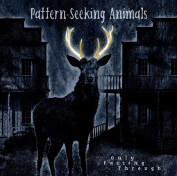 PATTERN-SEEKING ANIMALS - ONLY PASSING.. -LTD- CD